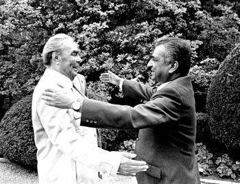 Брежнев и Кармаль